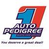 Sales Representative | Auto Pedigree | Polokwane South